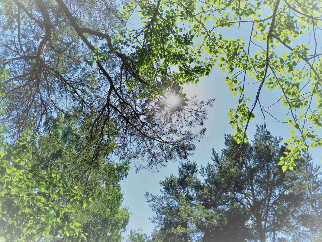 ... ����� ������ ����� �� PhotoGeek.ru #������ ��� �������