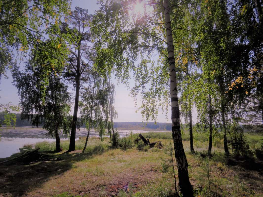 ... ����� ������ ����� �� PhotoGeek.ru #������ ��� �������