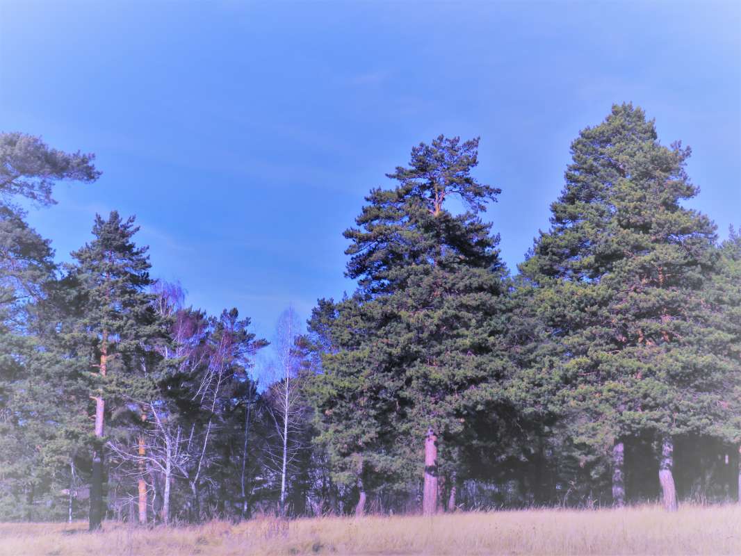 ... ����� ������ ����� �� PhotoGeek.ru #������ ��� �������