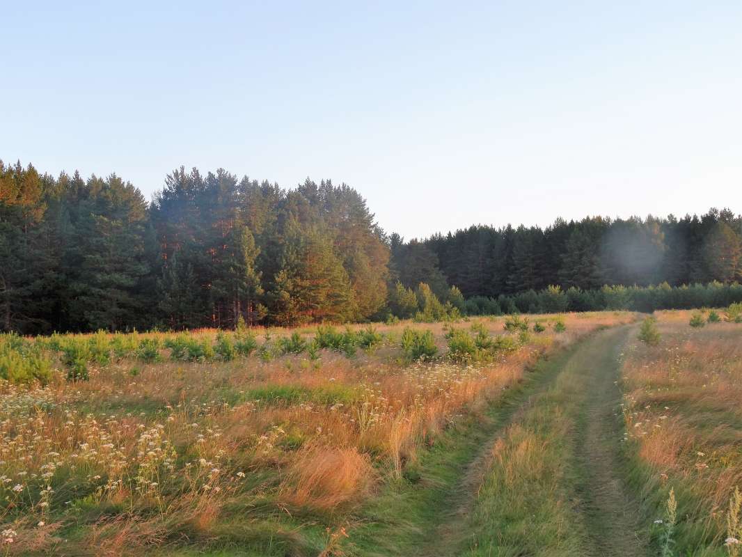 ... ����� ������ ����� �� PhotoGeek.ru #������ ��� �������