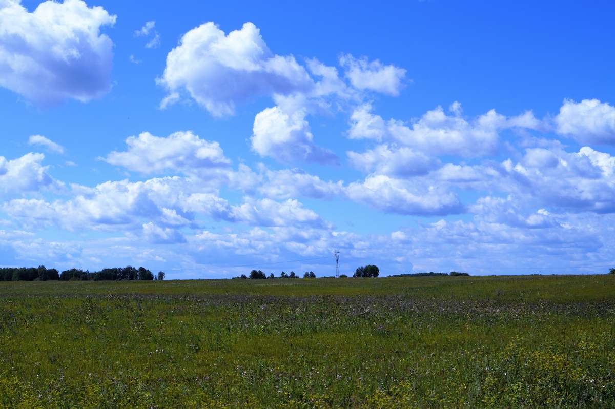 ... ����� ������ ����� �� PhotoGeek.ru #������ ��� �������