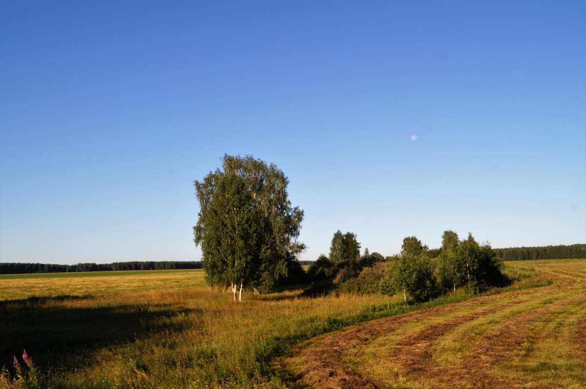 ... ����� ������ ����� �� PhotoGeek.ru #������ ��� �������