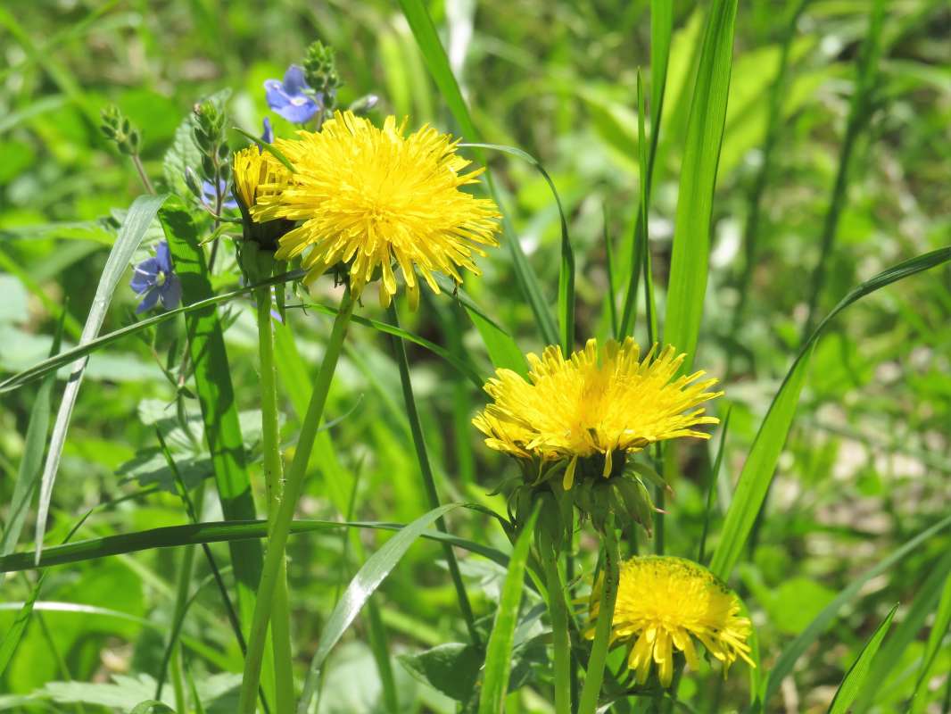 ... ����� ������ ����� �� PhotoGeek.ru #������ ��� �������