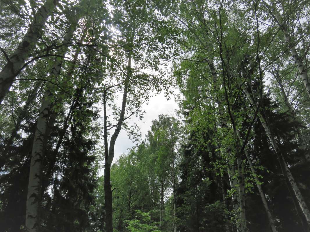 ... ����� ������ ����� �� PhotoGeek.ru #������ ��� �������