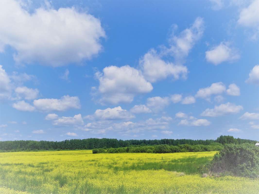 ... ����� ������ ����� �� PhotoGeek.ru #������ ��� �������