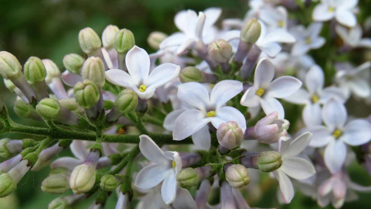 ... ����� ������ ����� �� PhotoGeek.ru #������ ��� �������