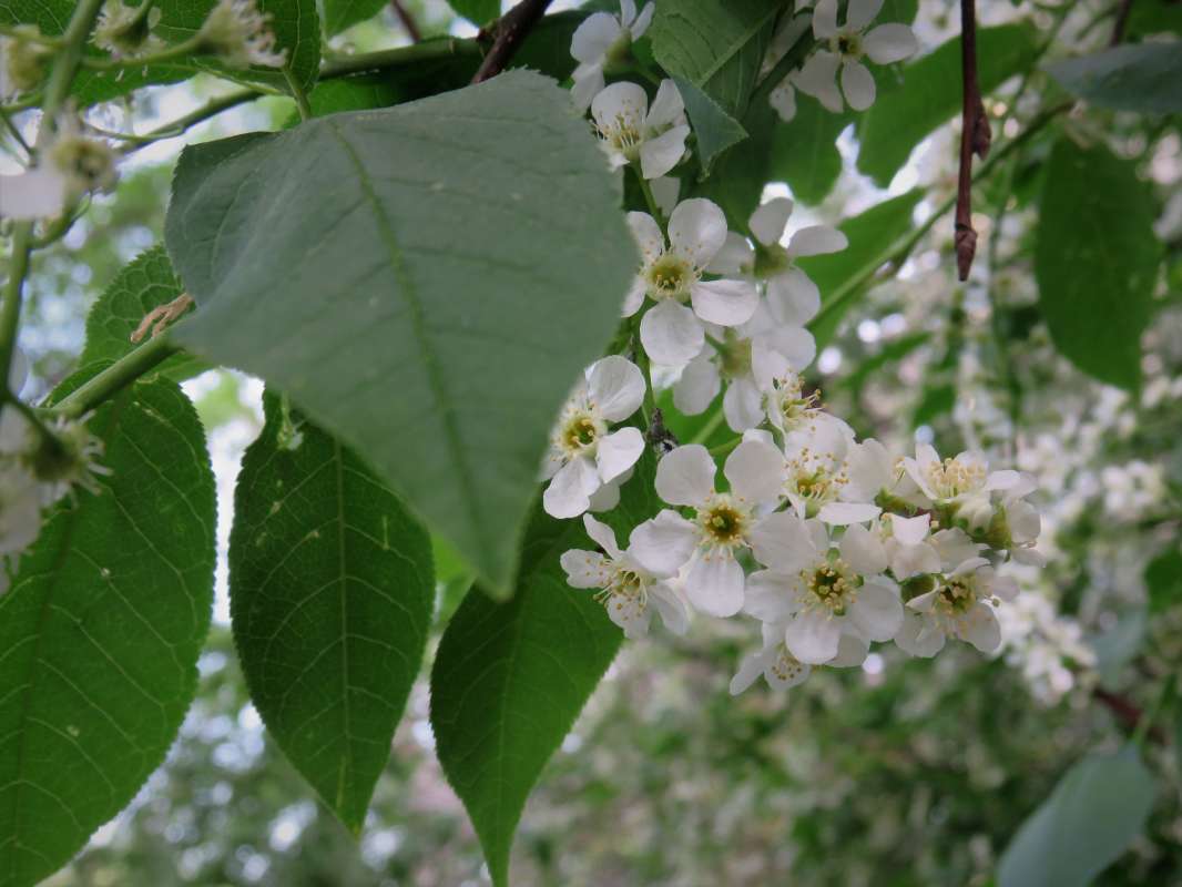 ... ����� ������ ����� �� PhotoGeek.ru #������ ��� �������