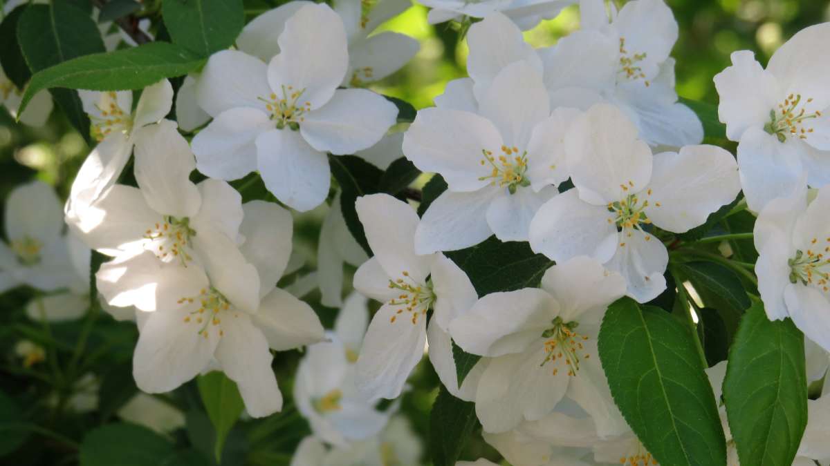 ... ����� ������ ����� �� PhotoGeek.ru #������ ��� �������