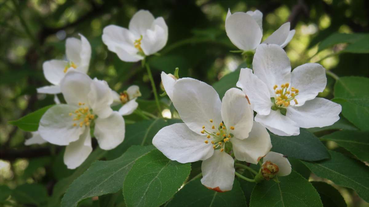 ... ����� ������ ����� �� PhotoGeek.ru #������ ��� �������