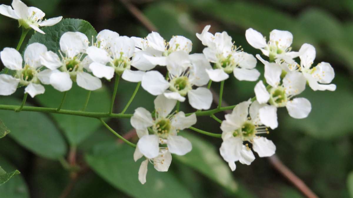 ... ����� ������ ����� �� PhotoGeek.ru #������ ��� �������