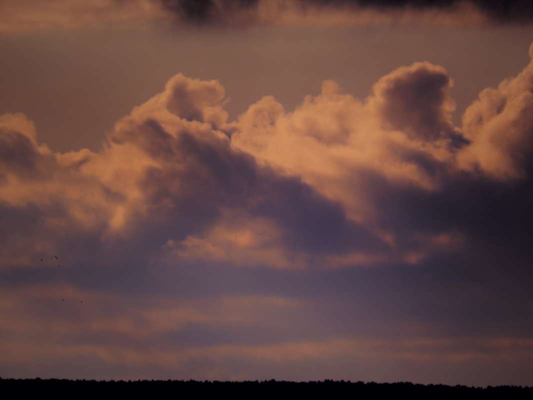 ... ����� ������ ����� �� PhotoGeek.ru #������ ��� �������