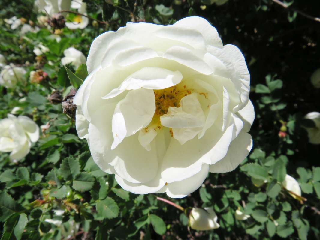 ... ����� ������ ����� �� PhotoGeek.ru #������ ��� ������� #����� �������������� #���������