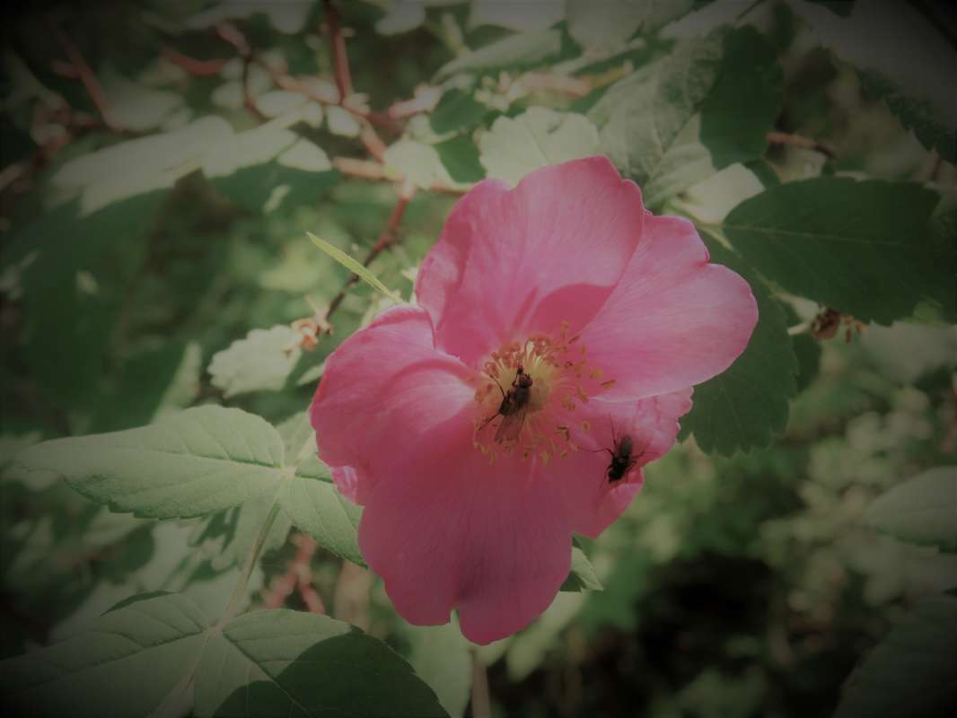 ... ����� ������ ����� �� PhotoGeek.ru #������ ��� �������