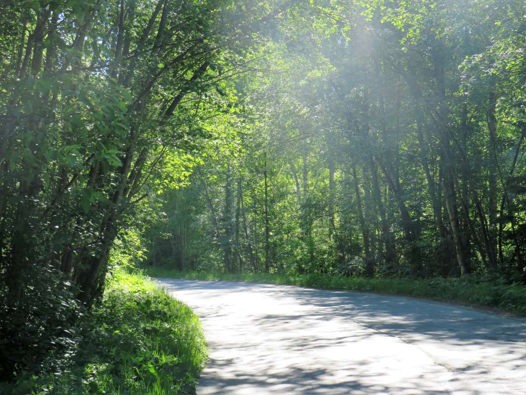 ... ����� ������ ����� �� PhotoGeek.ru #������ ��� ������� #�������� ����������