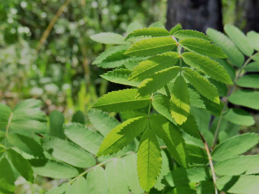 ... ����� ������ ����� �� PhotoGeek.ru #������ ��� ������� #����� ��������������