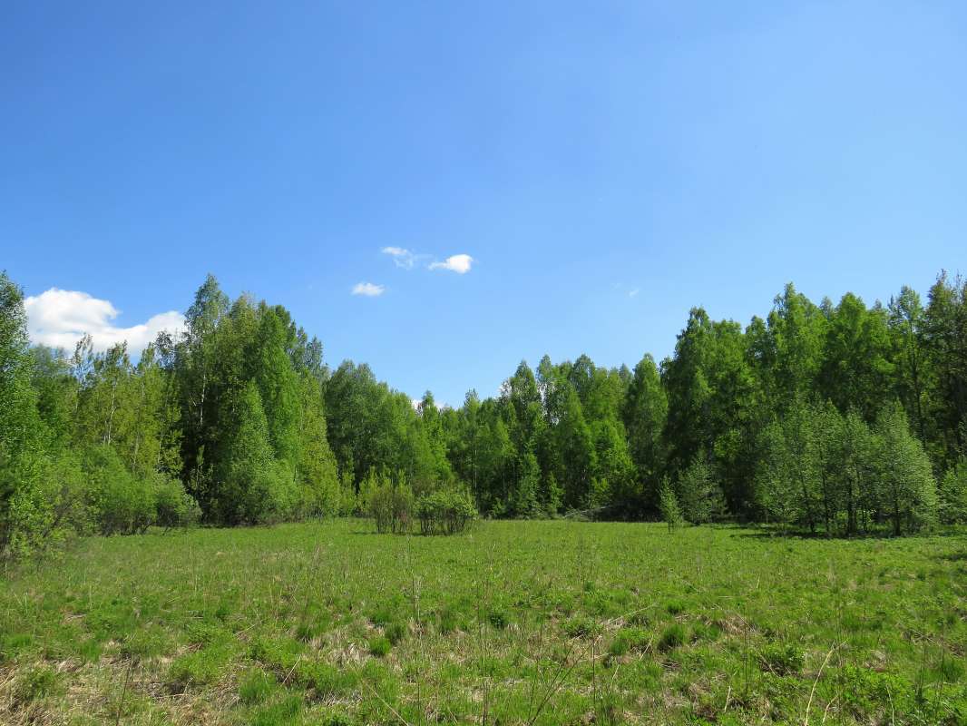 ... ����� ������ ����� �� PhotoGeek.ru #������ ��� �������