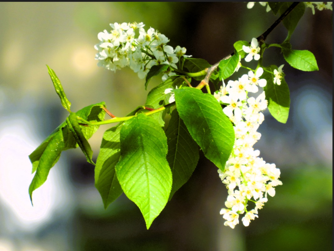 ����. ����� ������ ����� �� PhotoGeek.ru #������ ��� �������