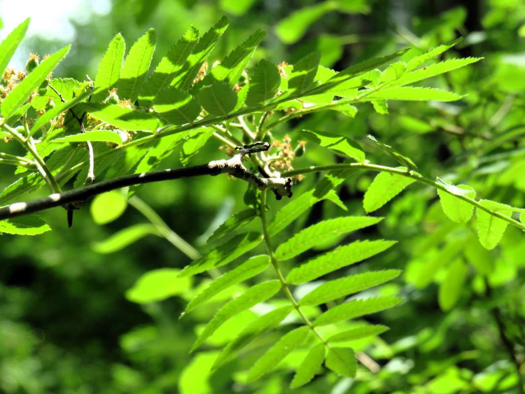 �� ����� "������ �����". ����� ������ ����� �� PhotoGeek.ru #������ ��� ������� #�������� ����������