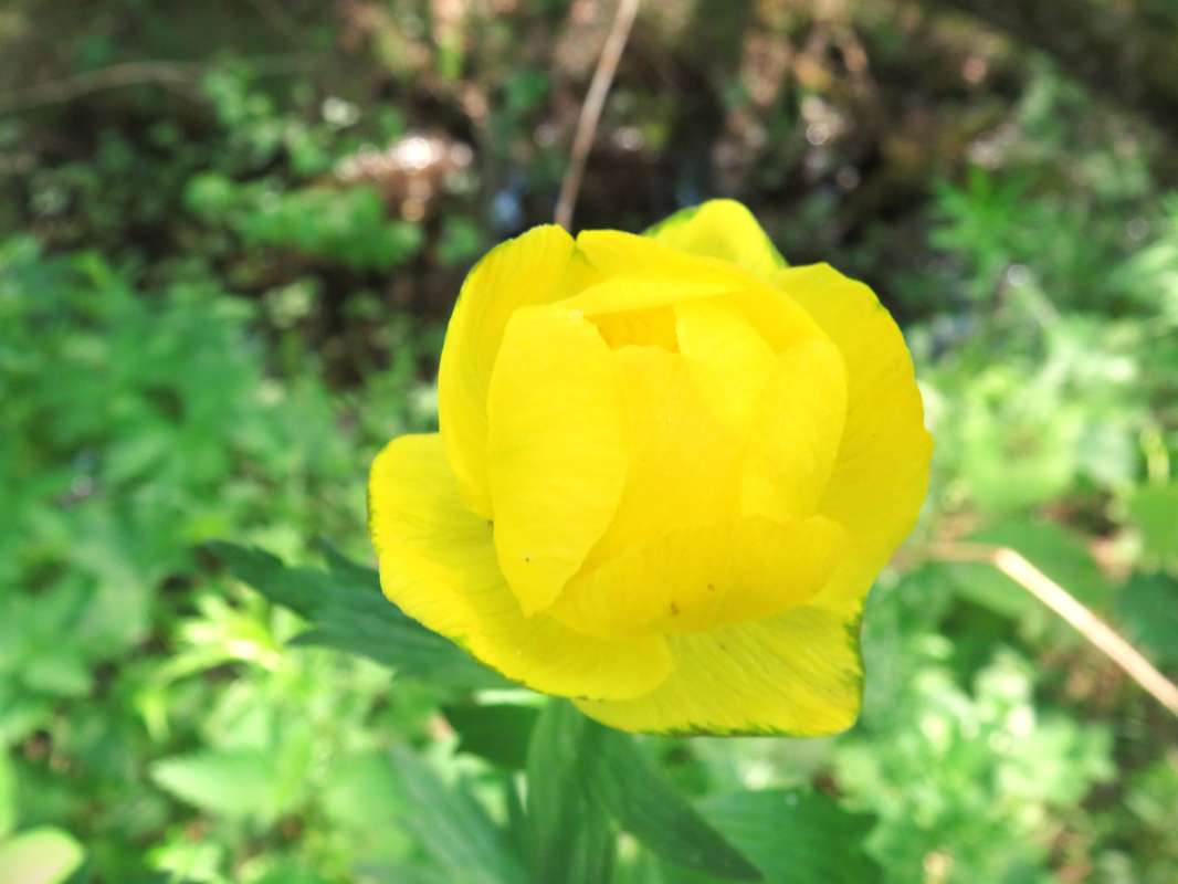 ����� ����. ����� ������ ����� �� PhotoGeek.ru #������ ��� ������� #�������� ����������