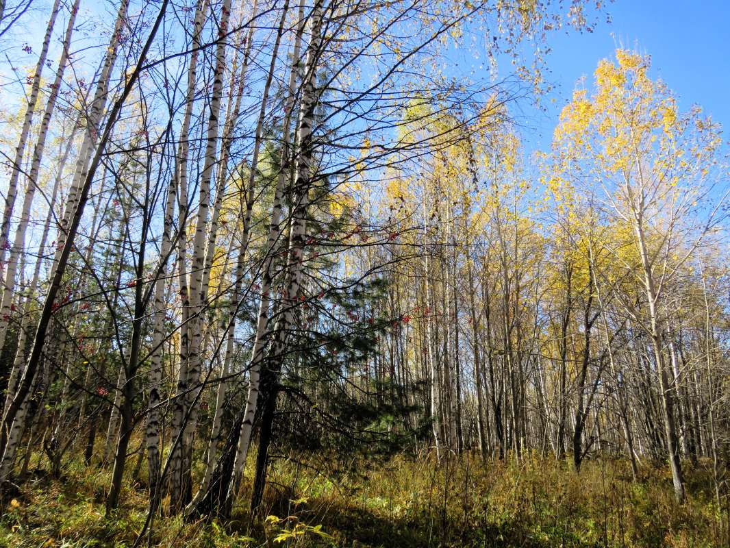 ��������� ��������� ���... ����� ������ ����� �� PhotoGeek.ru #������ ��� �������