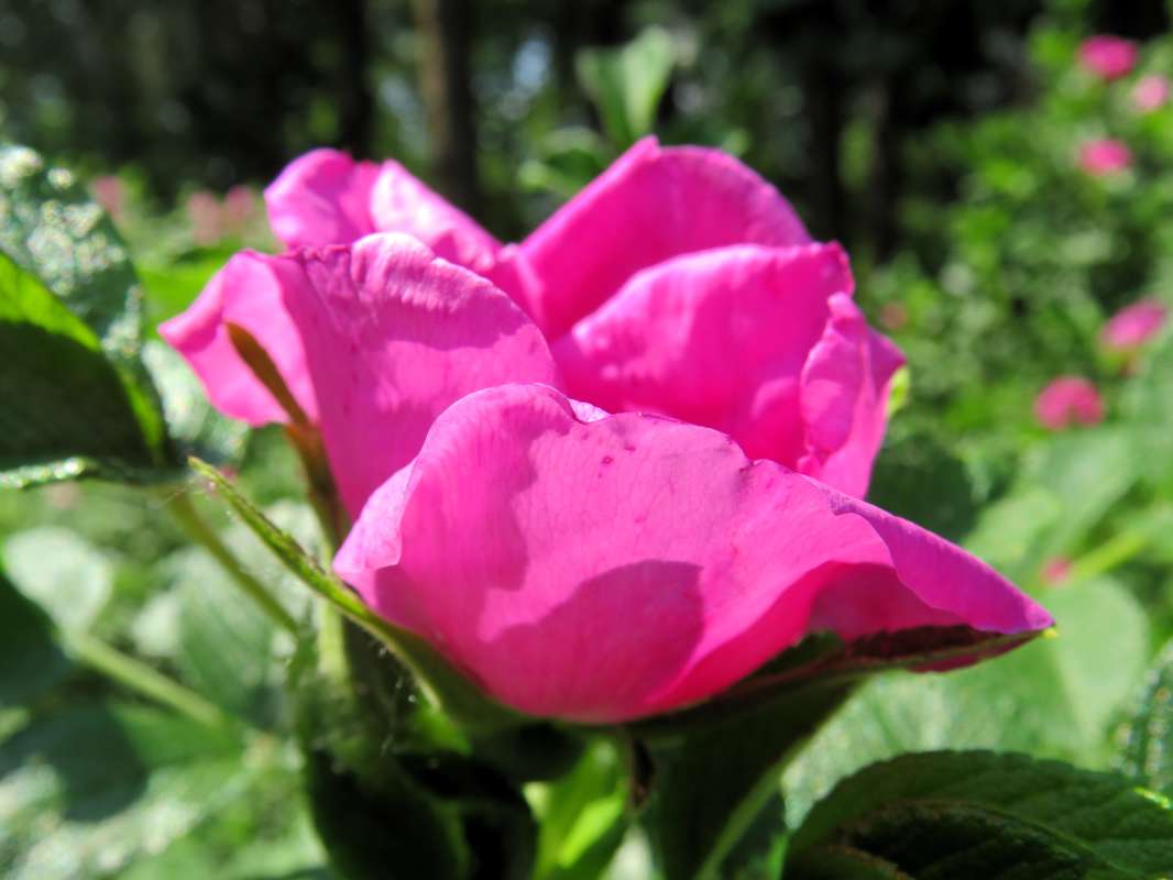 ����� ���� ����� ������ ����� �� PhotoGeek.ru #������ ��� �������