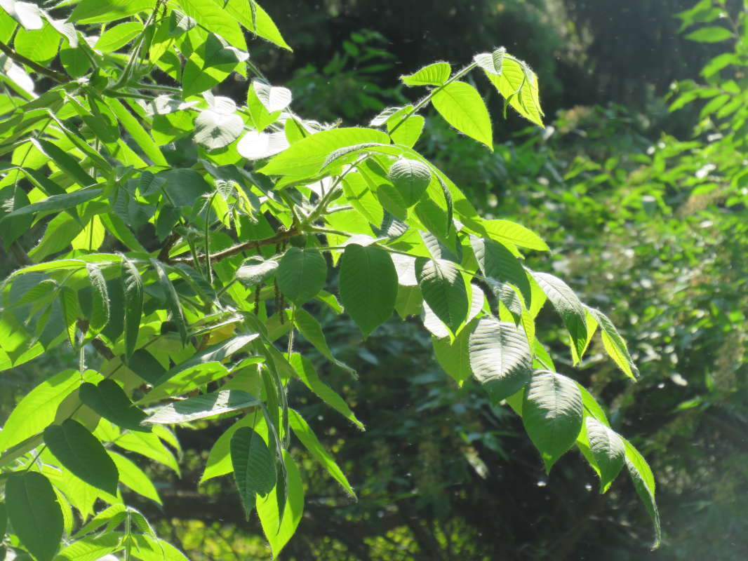 ��������� ����. ����� ������ ����� �� PhotoGeek.ru #������ ��� �������