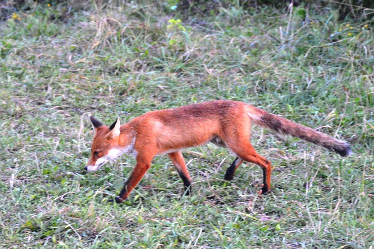 ������ ��� ����� ��������� �������� �� PhotoGeek.ru #�������� ���