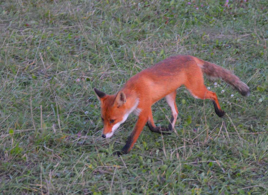 ������ ��� 2 ����� ��������� �������� �� PhotoGeek.ru #�������� ���