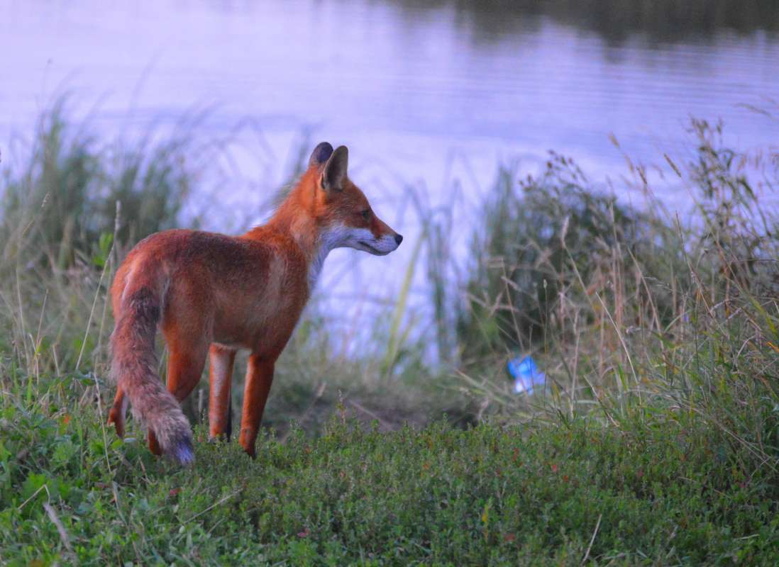 ������ ��� 3 ����� ��������� �������� �� PhotoGeek.ru #�������� ���