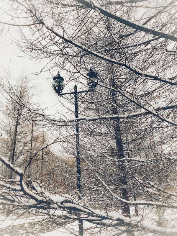 ������ ���� �����   �� PhotoGeek.ru #������ ��� �������