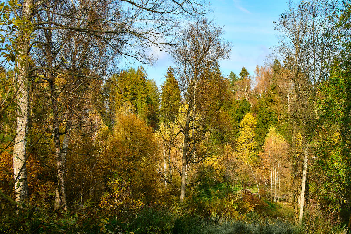 ������ ����� ����� ������ ����� �� PhotoGeek.ru #����� #�������