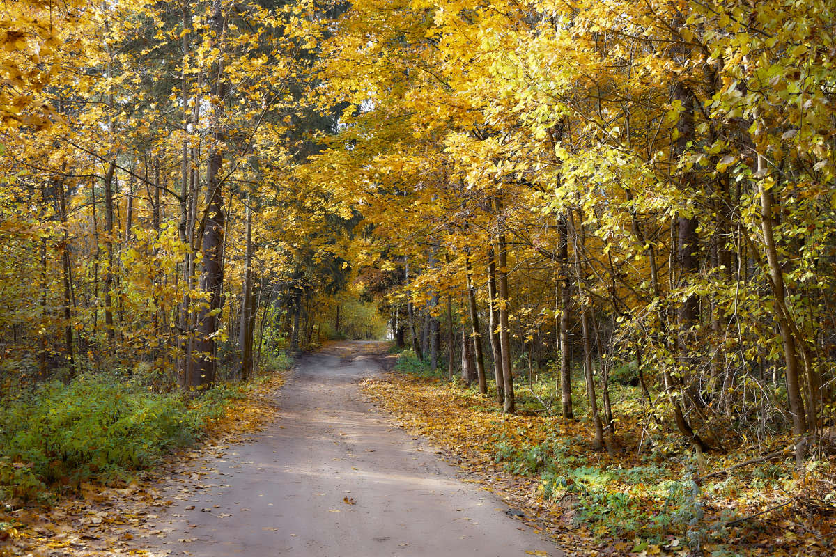 ������� �������� ����� ������ ����� �� PhotoGeek.ru #������ ��� ������� #����� #�������