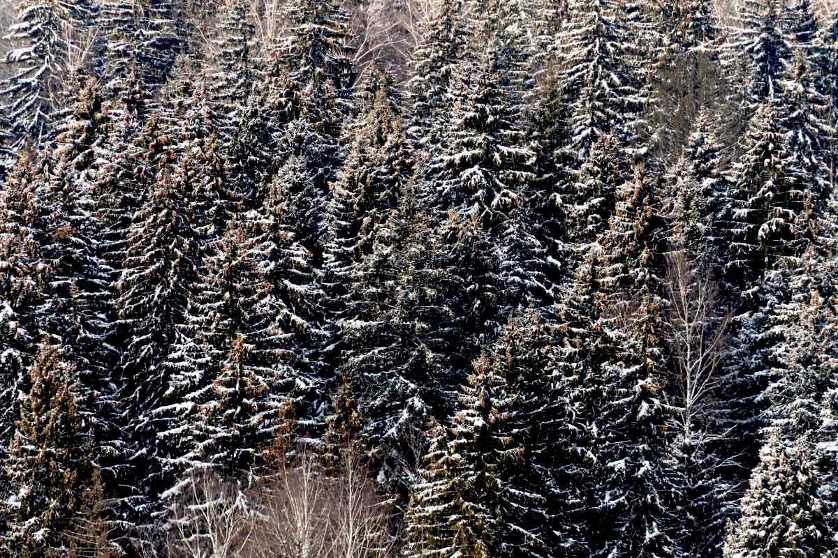 ��� ����� ���������  �� PhotoGeek.ru #������ ��� �������