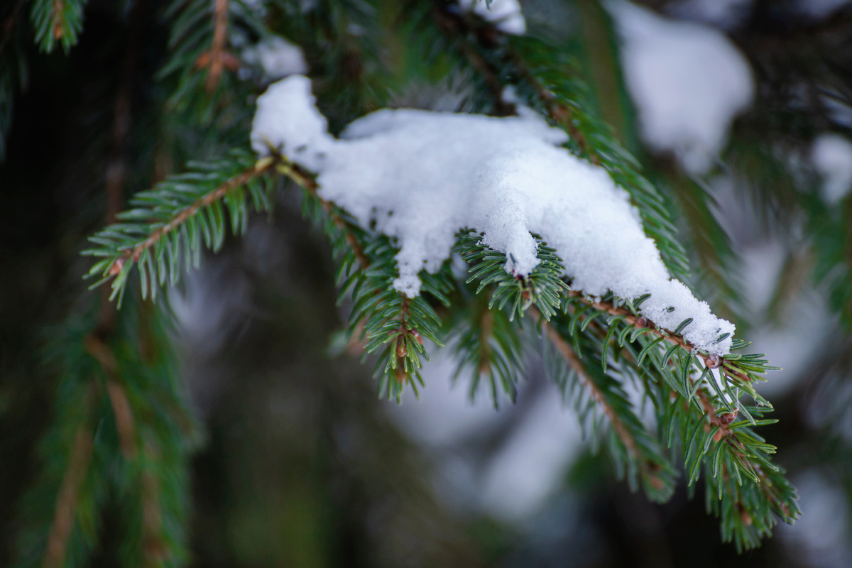 ����� ���� � ���� ������ �� ���� ����� ���������  �� PhotoGeek.ru #������ ��� �������