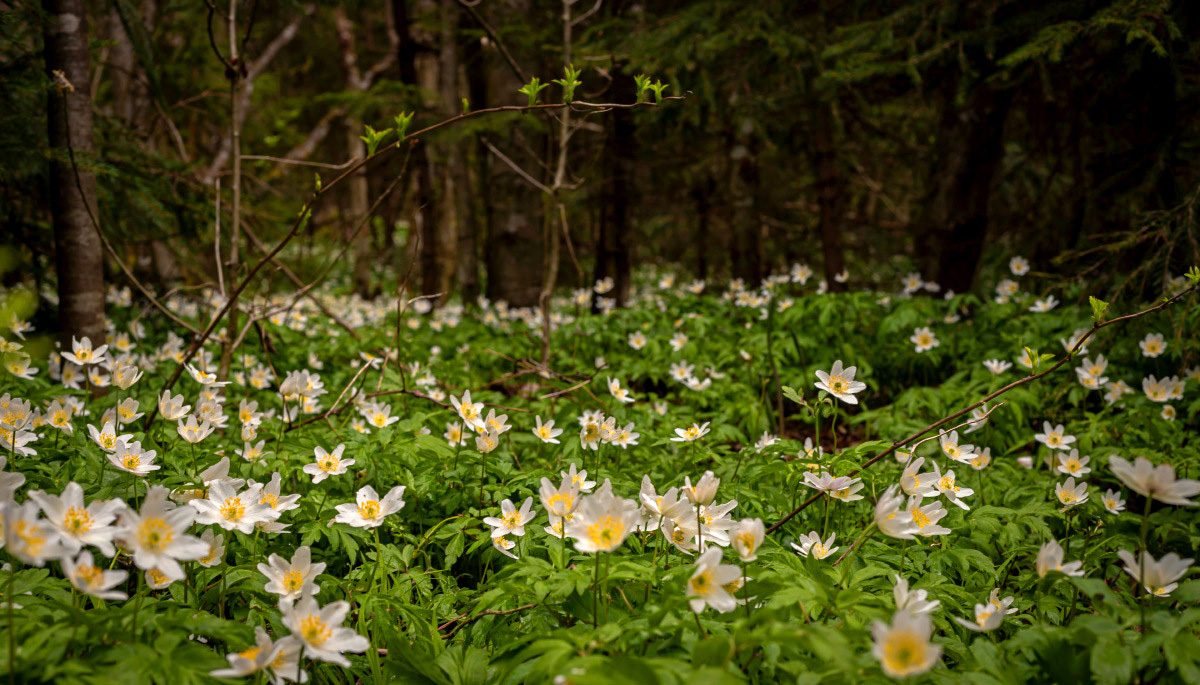 ��������� ��������� ����� ���������  �� PhotoGeek.ru #������ ��� �������