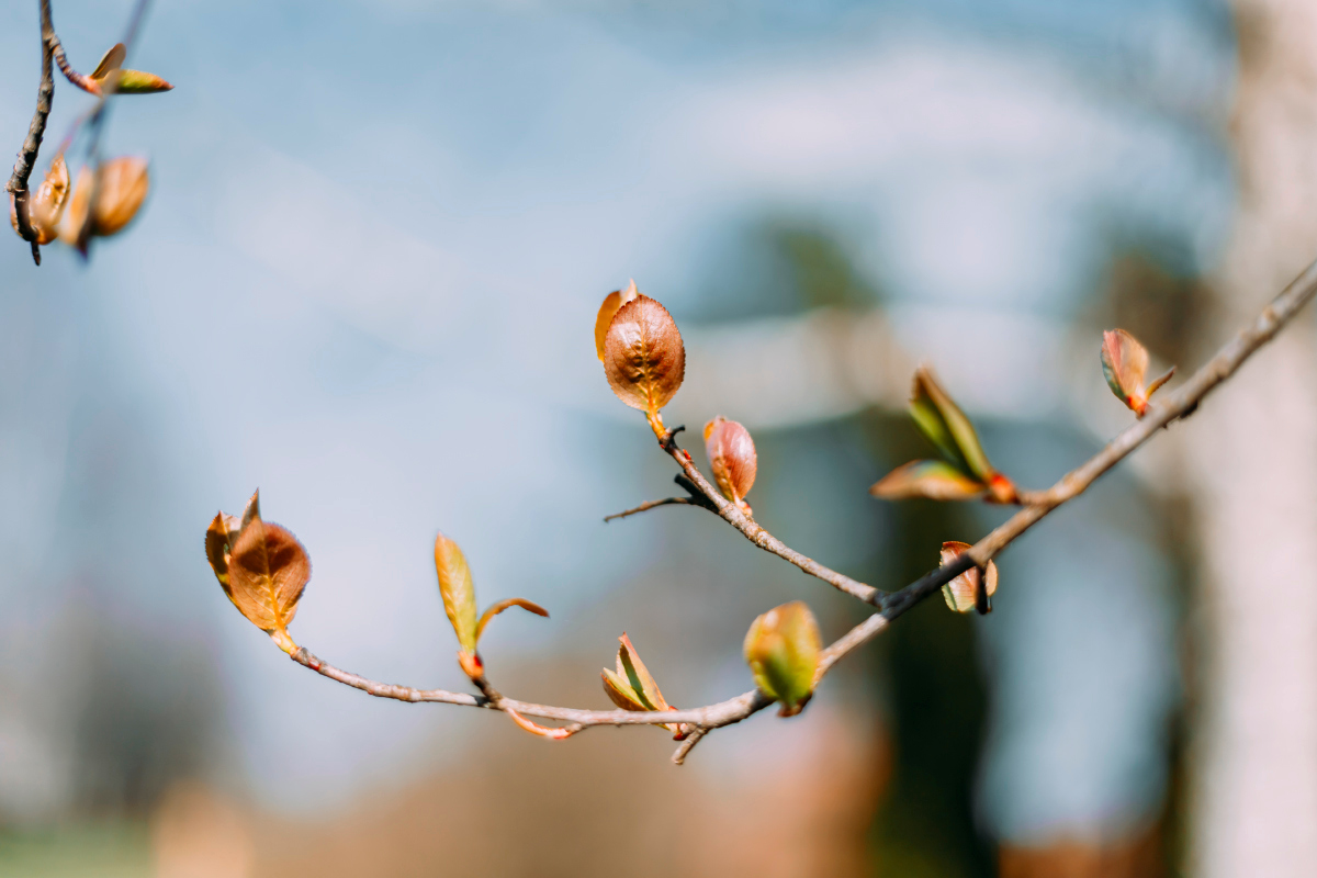 ��� ����� ���������  �� PhotoGeek.ru #������ ��� �������
