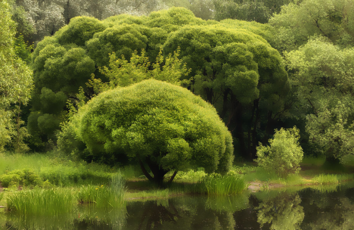 � ����� ����� ���������  �� PhotoGeek.ru #������ ��� �������