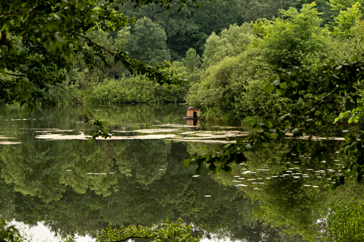 ������������ ����� ����� ���������  �� PhotoGeek.ru #������ ��� �������