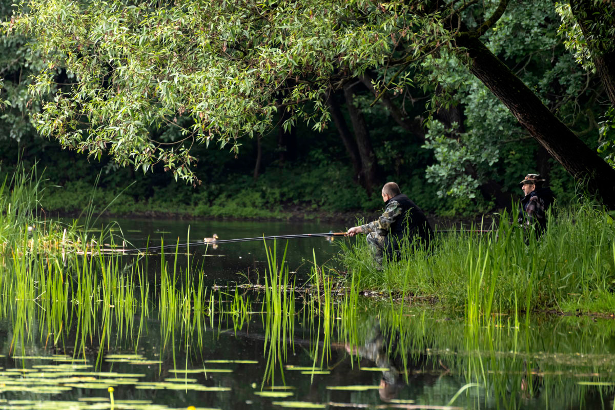 ����� ����� ���������  �� PhotoGeek.ru #������ ��� �������