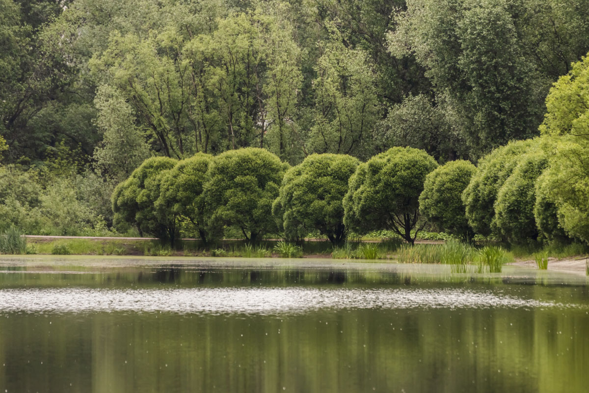 *** ����� ���������  �� PhotoGeek.ru #������ ��� �������