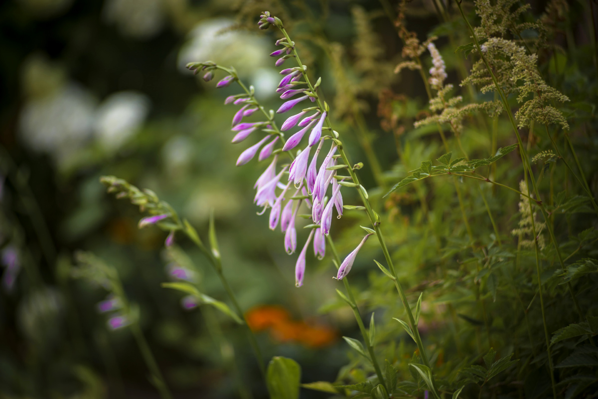 *** ����� ���������  �� PhotoGeek.ru #������ ��� �������