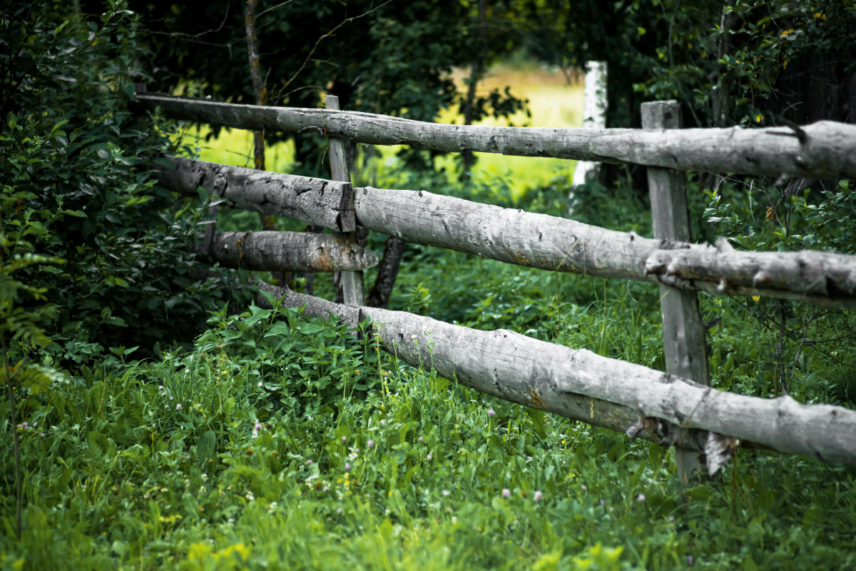 ����� ����� ���������  �� PhotoGeek.ru #������ ��� ������� #�������� ����������