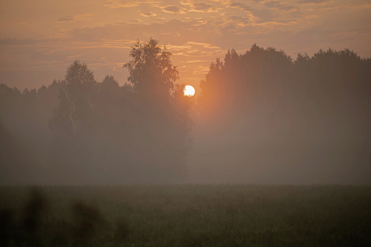 ������� ����� ���������  �� PhotoGeek.ru #������ ��� �������