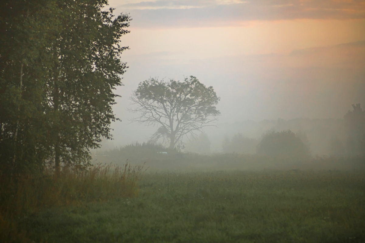 ������ ���� ����� ���������  �� PhotoGeek.ru #������ ��� �������