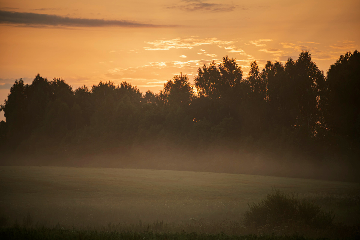 �� ������� ����� ���������  �� PhotoGeek.ru #������ ��� �������