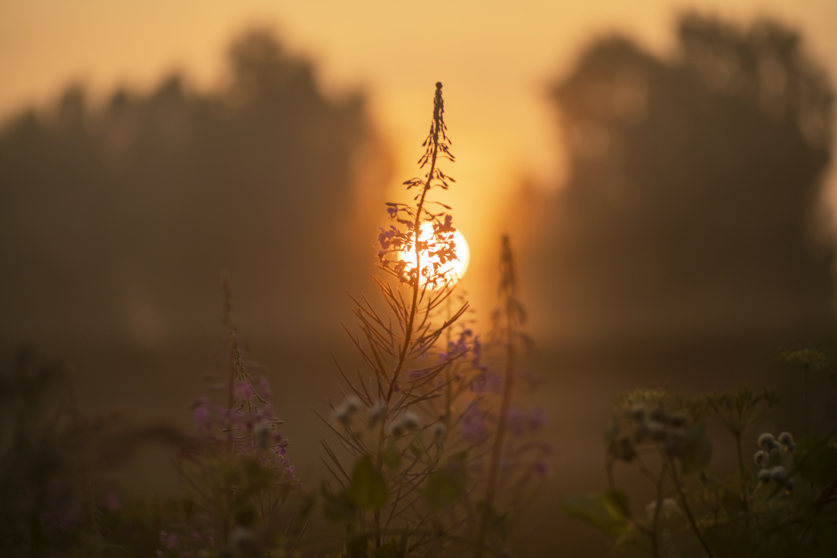 *** ����� ���������  �� PhotoGeek.ru #������ ��� �������