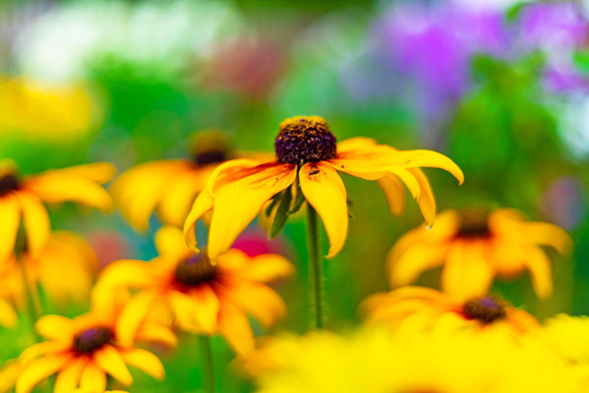 �������� � ������� ����� ���������  �� PhotoGeek.ru #������ ��� �������