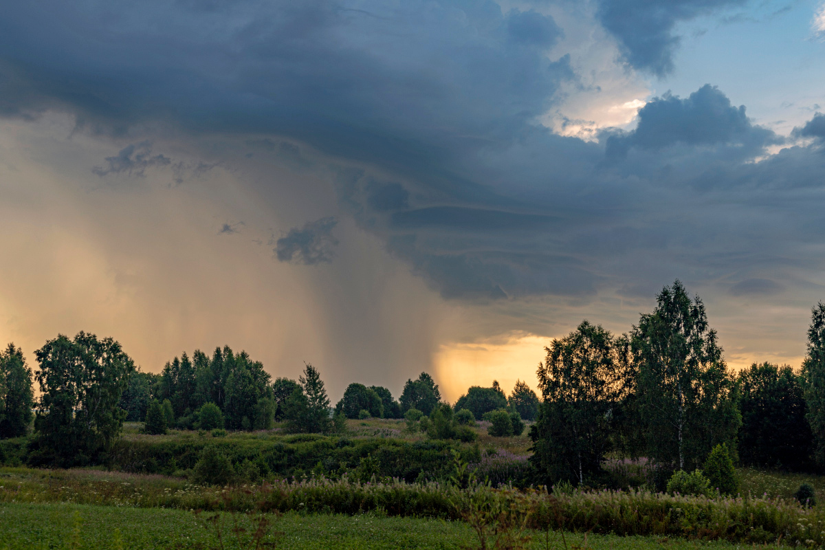 ���-�� ���� ����� ����� ���������  �� PhotoGeek.ru #������ ��� �������