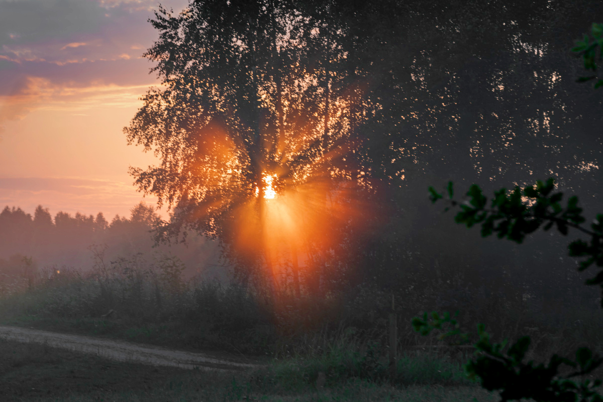 � ������ ����� ���������  �� PhotoGeek.ru #������ ��� �������