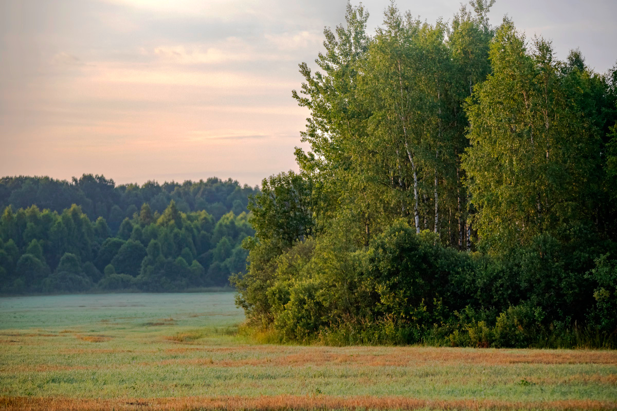 *** ����� ���������  �� PhotoGeek.ru #������ ��� �������